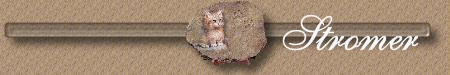 Stromercat