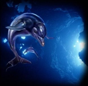 dolphin01bgrd02